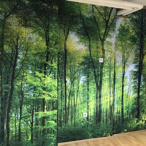 Ideje za foto tapete kancelarijski zid šuma